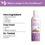 Rosemary Herbal Conditioner | Strengthens Hair & Reduces Breakage | With Arnica, Aloe Vera & Vitamin E | 200 ml - Image 2