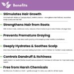 Rosemary Herbal Conditioner | Strengthens Hair & Reduces Breakage | With Arnica, Aloe Vera & Vitamin E | 200 ml - Image 3