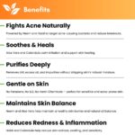 Acnoaid Herbal Face Wash | Controls Acne & Oil | With Neem, Haldi & Calendula | 100 ml - Image 3