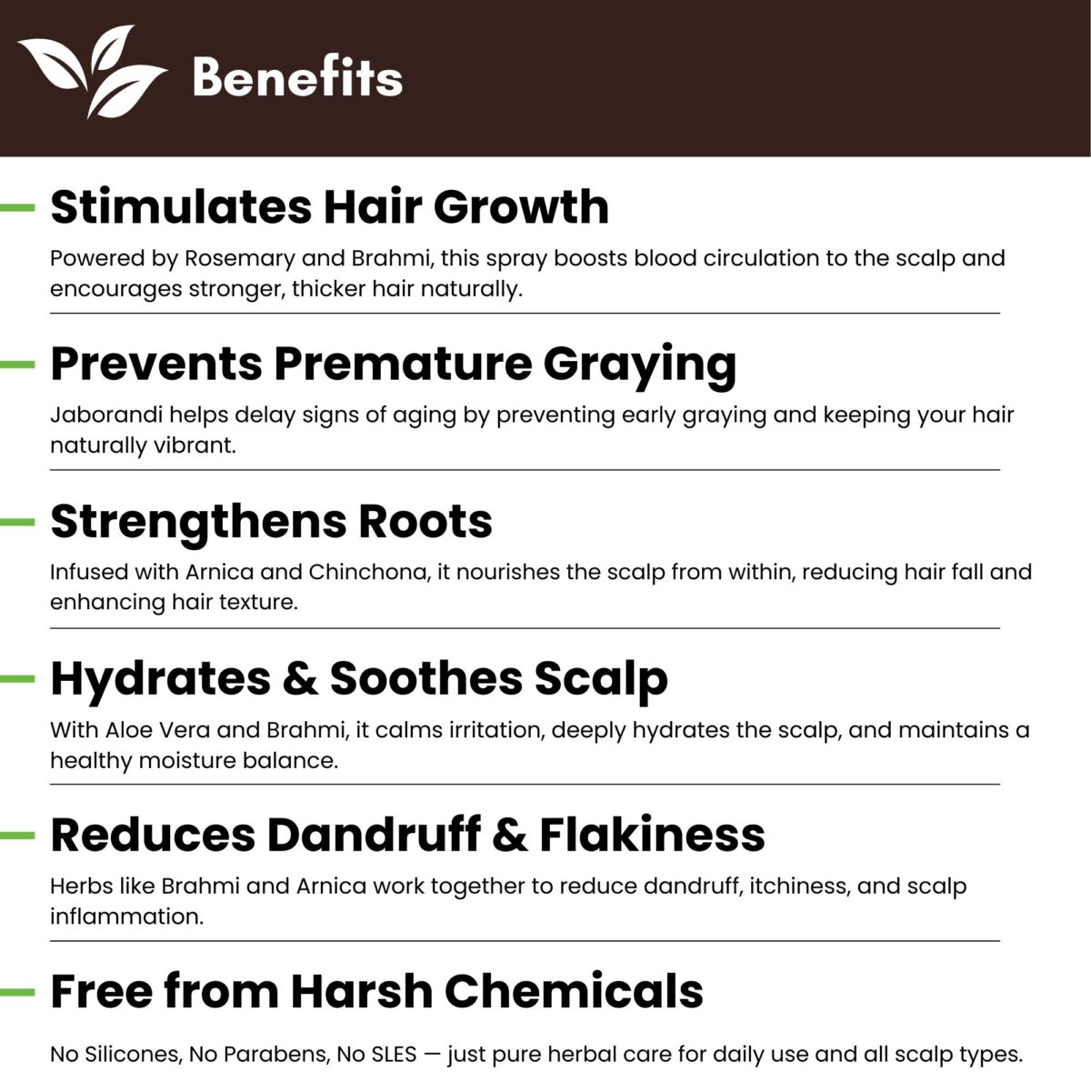 Arni Plus Rosemary Hair Spray | Reduces Hair Fall & Premature Graying | Promotes Natural Hair Growth | With Arnica, Brahmi & Aloe Vera | 100 ml - Image 3